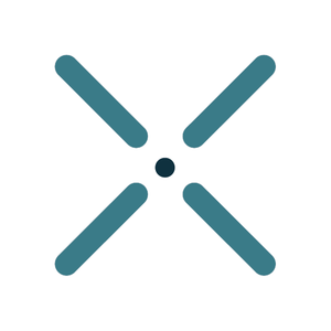 NXS SRL logo