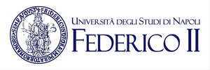 NEUROPSICHIATRIA INFANTILE -UNIVERSITA' DEGLI STUDI FEDERICO II NAPOLI logo