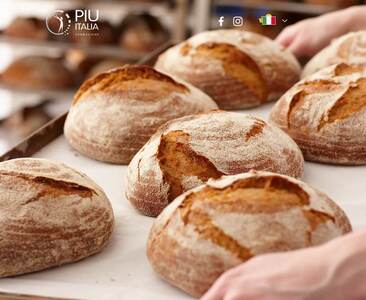 Corso Panettiere Online con Stage Nella tua Città! cover