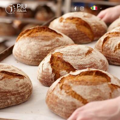 Corso Panettiere Online con Stage Nella tua Città! cover