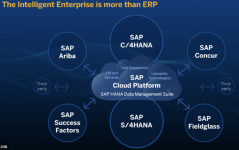 Trasformazione Digitale : Implementare SAP S/4 HANA in Azienda cover