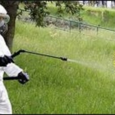 Corso per abilitazione all'acquisto e all'utilizzo di prodotti fitosanitari tutto a distanza cover